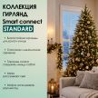SMART CONNECT STANDARD - теплый свет, зеленый провод