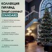 SMART CONNECT STANDARD - мультиколор, зеленый провод