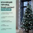 SMART CONNECT STANDARD - холодный свет, зеленый провод