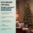 SMART CONNECT STANDARD - мультиколор, черный провод