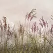 Фотообои флизелиновые Fbrush Полевые растения 300х270 см