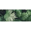 Фотообои флизелиновые Fbrush Папоротники 300х270 см