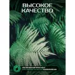 Фотообои флизелиновые Fbrush Папоротники 300х270 см