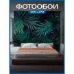 Фотообои флизелиновые Fbrush Ночные папоротники 300х270 см