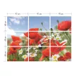 Фотообои бумажные ПРЕМИУМ Х5 Красные маки 291х204 см