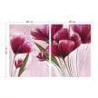 Фотообои бумажные «Тюльпаны» Postermarket 180x119 см