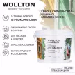 Краска фасадная силиконовая WOLLTON Fassaden Silicon белая (база 1) 3 л