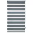 Рулонная штора День-Ночь NEODECO 60х160 см графит