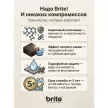 Лак для брусчатки и тротуарной плитки brite Paving Stones глянцевый 5 л
