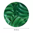 Картина на стекле d40 см Листья монстеры