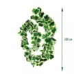 Лиана Пеларгония длина 200 см