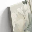 Канвас Белые пионы 60х90 см