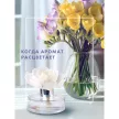Аромадиффузор Breesal Fleur Мелодия чувств 60 мл