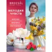 Аромадиффузор Breesal Fleur Мелодия чувств 60 мл