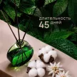 Аромадиффузор Aromatherapy Баланс 70 мл