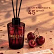 Аромадиффузор Breesal Passion Вишневый пунш 70 мл