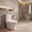 Унитаз-компакт FLUMEN DESIGN Rigi с сиденьем с микролифтом
