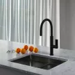 Смеситель для кухни FLUMEN DESIGN Rimini черный