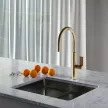 Смеситель для кухни FLUMEN DESIGN Rimini Ti-Gold золото