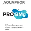 Комплект картриджей для фильтра Морион 102S Pro АКВАФОР (Pro1-Pro2-ProBMg)