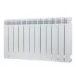 Радиатор биметаллический FONDITAL Alustal 100/500 12 секций