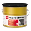 Мастика битумно-каучуковая ТЕХНОНИКОЛЬ №21 Техномаст 3 кг