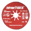 Шлифовальный диск по металлу и бетону ПРАКТИКА Р60, 125x22 мм