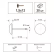 Гвозди декоративные ЕВРОПАРТНЕР мебельные 1,5х12 мм 30 шт старое золото