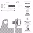 Болт откидной ГосКреп DIN444B М10х40 мм