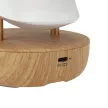 Ночник Neon-Night Тукан USB Bluetooth