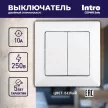 Выключатель двухклавишный Соло Intro белый