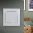 Розетка с заземлением с крышкой Соло Intro белая