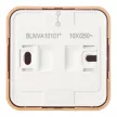 Выключатель одноклавишный Systeme Electric Бланка ясень