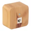Розетка компьютерная Systeme Electric Бланка ясень