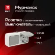 Розетка + выключатель EKF Мурманск с заземлением серая