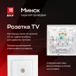 Розетка ТВ EKF Минск белая