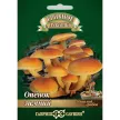 Опенок зимний на древесной палочке 12 шт
