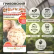 Сельдерей корневой Грибовский 200% NEW 1 г Русский огород