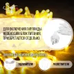 Гирлянда Нить 200LED 10 м теплый свет белый провод Maxi LED PRO Santi