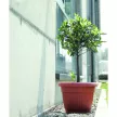 Уличный горшок пластиковый TERRA терракотовый d45,5 см h35 см 27 л