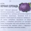 Астра Ночная серенада 3 г Удачные семена