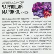 Обриета Чарующий Марокко 0,05 г Удачные семена