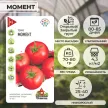 Томат Момент 0,5 г Удачные семена