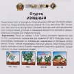 Огурец Изящный 200% NEW 1 г Русский огород