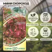 Салат мини Скороход 0,5 г красный хрустящий Н9