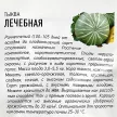 Тыква Лечебная 2 г Удачные семена