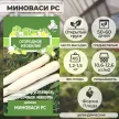 Дайкон Миноваси РС 1 г ОГ