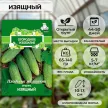 Огурец Изящный 0,5 г ОГ