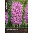 Гиацинт садовый Анна Лиза 2 шт