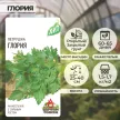 Петрушка листовая Глория 2 г ХИТ